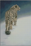 Cold Mountain (image for) Cold Mountain